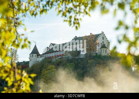 Svizzera paesaggio autunnale di Schloss Laufen sulla scogliera con fogliame. Laufen-Uhwiesen, Zurigo, Svizzera. Foto Stock