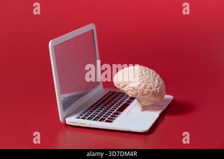 Un cervello umano posizionato su una tastiera di un notebook su uno sfondo rosso. Intelligenza artificiale, apprendimento digitale, apprendimento automatico, pensiero digitale Foto Stock