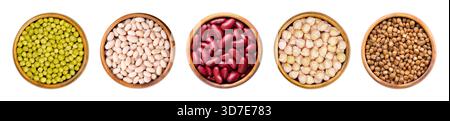 Legumi in scatola in ciotole di legno. Da sinistra a destra piselli verdi, fagioli bianchi, fagioli rossi, ceci e lenticchie brune, bollito e conservato. Foto Stock