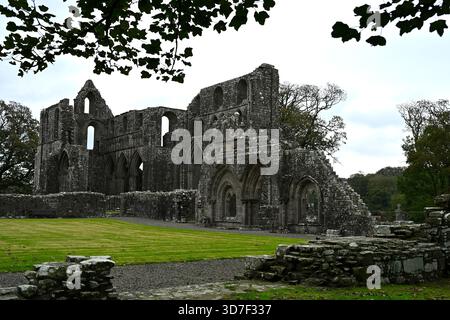 Resti rovinati dell'abbazia di Dundrennan del XII secolo o monastero cistercense, Scozia Regno Unito settembre Foto Stock