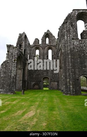 Resti rovinati dell'abbazia di Dundrennan del XII secolo o monastero cistercense, Scozia Regno Unito settembre Foto Stock