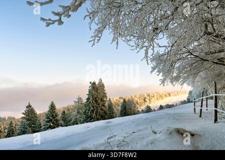 Svizzera, Passwang, Passwang se, se, Soletta, Mümliswil-Ramiswil, Schwarzbubenland, alba, Vogelberg, novembre Foto Stock