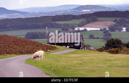 Kington Golf Club, Bradnor Hill, Kington, Herefordshire, Inghilterra, Regno Unito - il campo da golf a 18 buche più alto d'Inghilterra - vista generale del campo Foto Stock