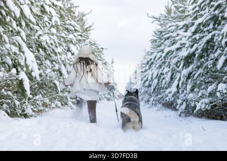 Cane da neve Husky sulla neve sullo sfondo della foresta, della foresta innevata e del cane Foto Stock