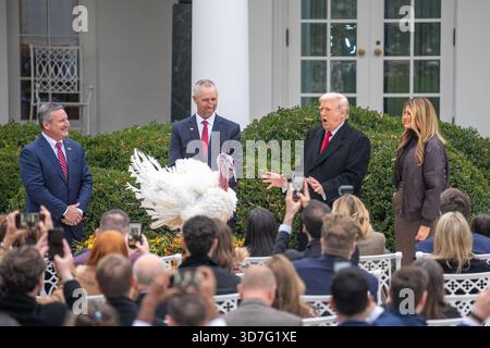 Washington, Stati Uniti. 25 novembre 2025. Il presidente degli Stati Uniti Donald Trump (2° R) partecipa alla cerimonia nazionale di gradimento della Turchia alla Casa Bianca di Washington, DC, negli Stati Uniti, 25 novembre 2025. Crediti: HU Yousong/Xinhua/Alamy Live News Foto Stock