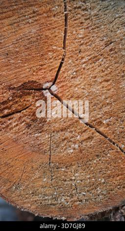 consistenza del legno e una piccola spaccatura Foto Stock