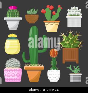 Varie piante di cactus in pentole con colorato sfondo grigio scuro. Illustrazione Vettoriale
