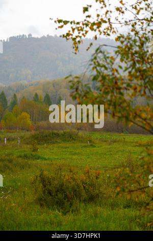 Un ampio paesaggio verticale caratterizzato da un lussureggiante prato verde, sostenuto da una foresta che mostra il verde e il giallo del fogliame autunnale, e montagne nebbiose e nebbiose Foto Stock