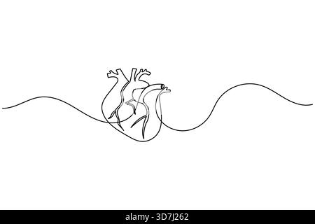 Cuore umano una linea art semplice contorno anatomico continuo simbolo medico Illustrazione Vettoriale