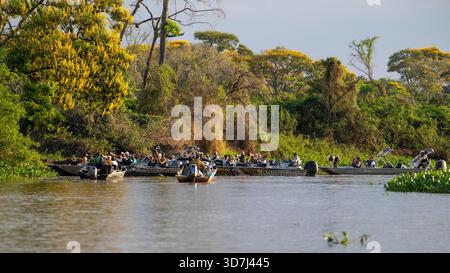 Molte barche da safari a Pantanal, Brasile Foto Stock