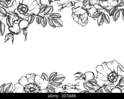 Cornice vettoriale inchiostro disegnata a mano Rosehip. Dima con fiori, bacche, foglie e gemme. Illustrazione Vettoriale