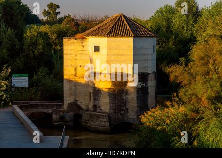 Il mulino ad acqua di San Antonio (Molino de San Antonio) sulla riva sinistra del Guadalquivir vicino al ponte romano a Cordoba, Andalusia, Sapain. L'origi Foto Stock