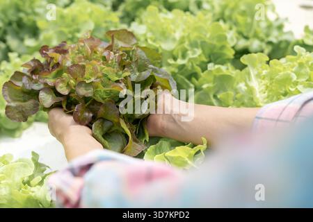 donna asiatica proprietaria di un'azienda che utilizza un tablet digitale controlla la quantità di scorte di prodotti disponibili sullo scaffale presso la fabbrica del magazzino di distribuzione. attività logistica Foto Stock