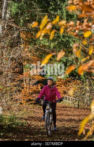 Bella donna in sella alla sua mountain bike elettrica in una foresta vicino a Oberreute, nell'Allgaeu occidentale, nella calda giornata autunnale, Baviera, Germania Foto Stock