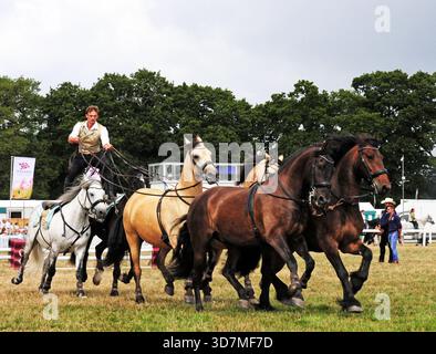 Ben Atkinson e i suoi cavalli al New Forest Show. Foto Stock