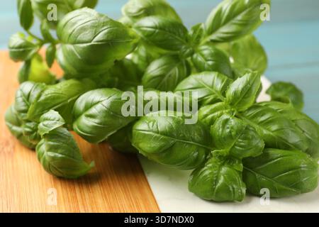 Foglie di basilico fresco su un tavolo azzurro, primo piano Foto Stock