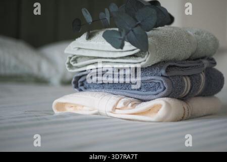 Asciugamani morbidi impilati ordinatamente su un letto con vegetazione Foto Stock