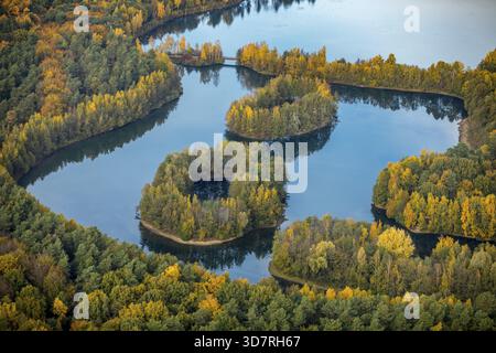 Vista aerea, Heidesee Kirchhellen Grafenwald, isole con foresta autunnale, foglie autunnali colorate, lavandini di montagna, estrazione del carbone presso la miniera di Prosper Foto Stock