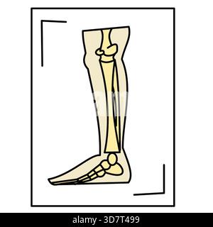 gamba radiologia raggi x ossa delle gambe icona medica colore minimalista Illustrazione Vettoriale