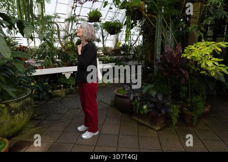Donna che ammira le piante tropicali al Conservatory of Flowers, San Francisco Foto Stock