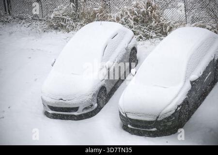 Due veicoli sono parcheggiati all'aperto e ricoperti di neve durante un evento invernale, creando un ambiente sereno Foto Stock