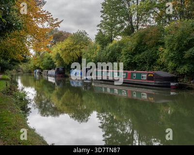 Le imbarcazioni per narrowboats ormeggiate lungo il canale Grand Union a Blisworth, Northamptonshire, mostrando una tranquilla scena rurale del canale navigabile nel Regno Unito Foto Stock