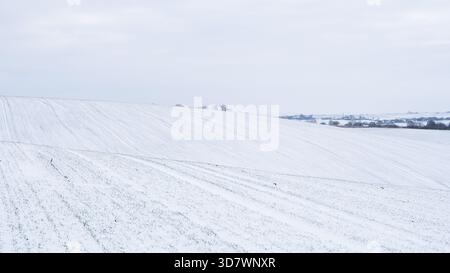 Paesaggio di campi innevati minimalisti con dolci colline e alberi lontani in inverno Foto Stock