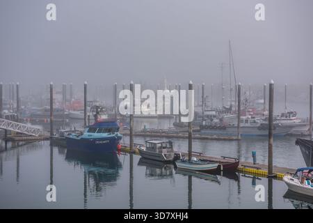 Varie barche da pesca e navi attraccate in un porto coperto di nebbia a Homer, Alaska. Foto Stock