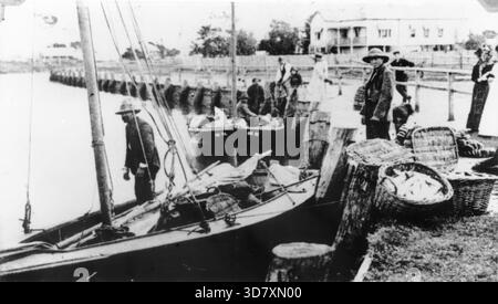 Pescatori che scaricano le loro catture dalle barche di Wynnum Creek, 1907. Due piccole barche da pesca sono ormeggiate al molo di Wynnum. Sembra che i cesti di pesci siano appena stati scaricati sulla riva. Foto Stock
