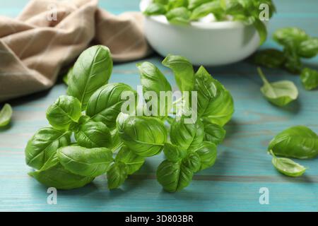 Foglie di basilico fresco su un tavolo di legno azzurro, primo piano Foto Stock