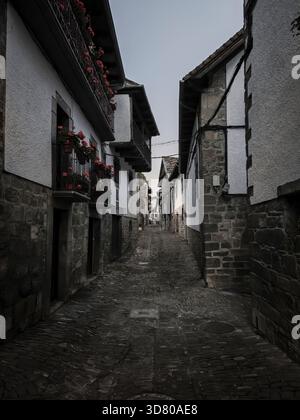 Stretta strada acciottolata che si snoda attraverso l'architettura del vecchio villaggio europeo Foto Stock