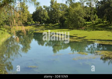 Pipa lago a Taitung Forest Park, Taiwan, Asia Foto Stock