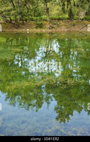 Pipa lago a Taitung Forest Park, Taiwan, Asia Foto Stock