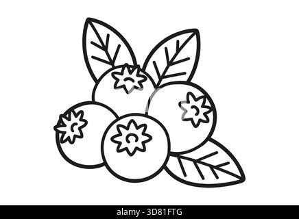 Semplice disegno in linea di mirtilli freschi con foglie Illustrazione Vettoriale