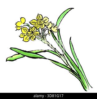 Pittura cinese a inchiostro di crisantemo da giardino su sfondo bianco Foto Stock