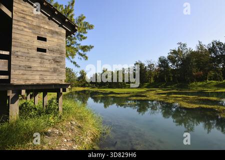 Pipa lago a Taitung Forest Park, Taiwan, Asia Foto Stock