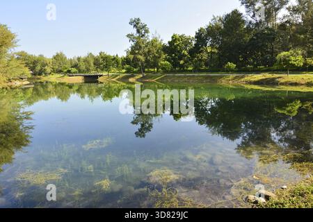 Pipa lago a Taitung Forest Park, Taiwan, Asia Foto Stock