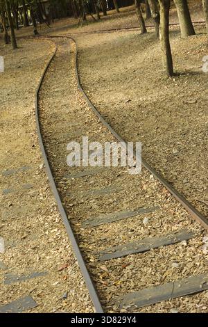 Foresta con ferrovia, girato al Luodong Forestry Culture Garden, Yilan, Taiwan, Asia Foto Stock