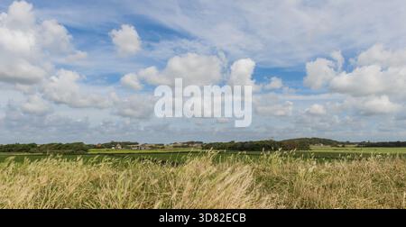 Tipico paesaggio dell'isola olandese di Texel con prati, fattorie e foreste, Den Hoorn Texel, Nederland Foto Stock