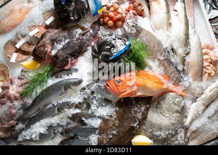 Vivace mercato di pesce fresco esposto su ghiaccio tritato con pesci interi assortiti, crostacei e polpi. Cattura marina di alta qualità. Foto Stock