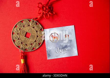 Carta per cani zodiacali cinesi con moneta tradizionale su sfondo rosso Foto Stock