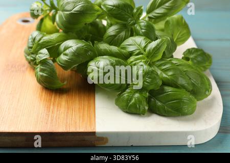 Foglie di basilico fresco su un tavolo di legno azzurro, primo piano Foto Stock
