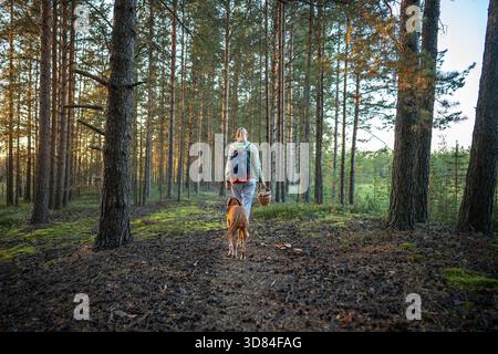 esploratore femminile che raccoglie funghi selvatici camminando attraverso i sentieri boschivi accompagnati dalla vista posteriore del cane da compagnia. Raccolta di funghi forestali, passeggiata nella natura con gli animali, esplorazione di boschi, trekking da solo || Model Released Foto Stock
