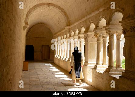 Francia, Vaucluse, Parc Naturel Regional du Luberon (Parco naturale regionale del Luberon), comune di Gordes, l'abbazia cistercense Notre Dame de Senanque del XII secolo, il chiostro Foto Stock