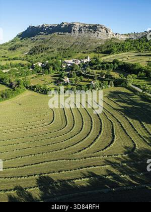 Francia, Alpes de Haute Provence, Saint Geniez, vista generale del villaggio, terreni agricoli in primo piano (vista aerea) Foto Stock