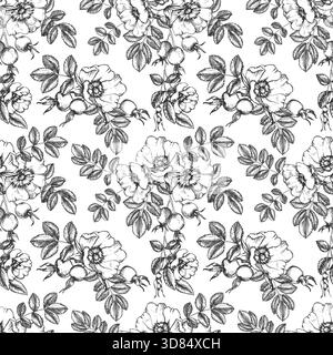 Motivo senza cuciture con vettore d'inchiostro disegnato a mano Rosehip. Ornamento con fiori, bacche, foglie e gemme. Illustrazione Vettoriale