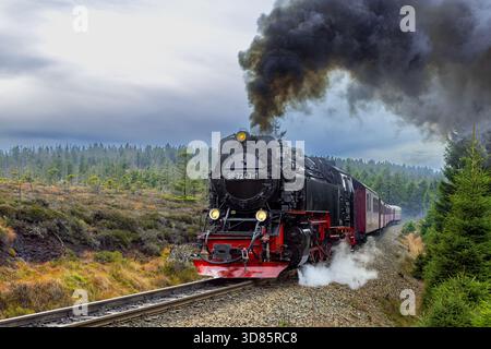 Treno a vapore degli anni '1950 997243 Neubaulokomotive / Neubaulok sulla linea ferroviaria a scartamento ridotto di Brocken nel parco nazionale di Harz, Sassonia-Anhalt, Germania Foto Stock