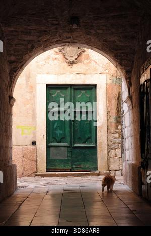 Porta in legno nel vicolo della città vecchia di Cattaro, Montenegro Foto Stock