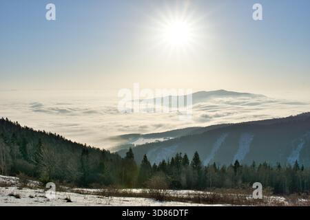 Vista aerea del sole che splende su un mare di nuvole che oscurano la catena montuosa, con una foresta in primo piano, Spisska nova VES, Kosicky kraj, Slo Foto Stock