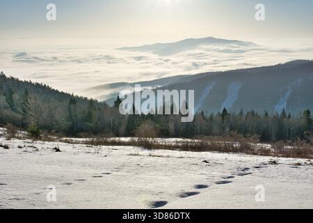 Veduta aerea di un paesaggio innevato dove le orme conducono verso una fitta foresta, con un mare di nuvole che si snoda su montagne lontane, Spisska nova VES, Foto Stock